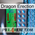 Dragon Erection new03